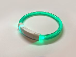 Светодиодный USB ошейник размер S (зелёный)